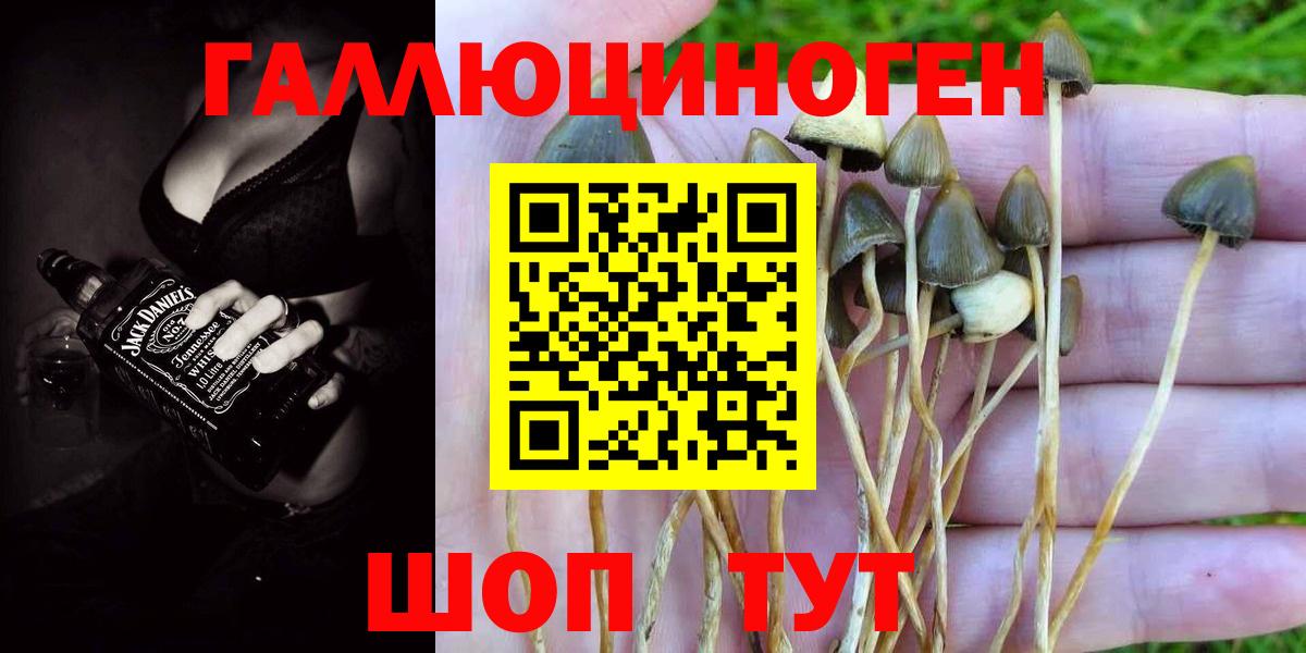 Псилоцибиновые грибы мухоморы  Вход с VPN  Псилоцибиновые грибы MAGIC MUSHROOMS  Дальнереченск 
