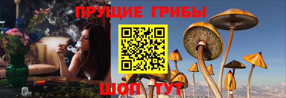 Псилоцибиновые грибы прущие грибы Дальнереченск